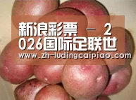 产品展示标题1
