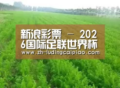种植基地四