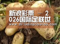产品展示标题2