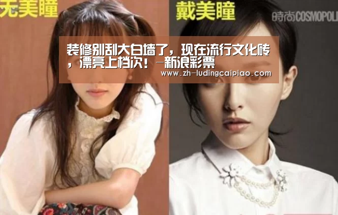 装修别刮大白墙了,现在流行文化砖,漂亮上档次!-新浪彩票(图4) 新浪彩票